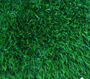 Thảm cỏ nhân tạo giá rẻ Hà Nội
